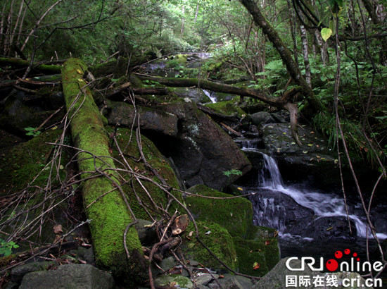 东邻河鱼,南毗修齐,高观,西接北屏,北连陕西岚皋漳河乡,距城口县城32