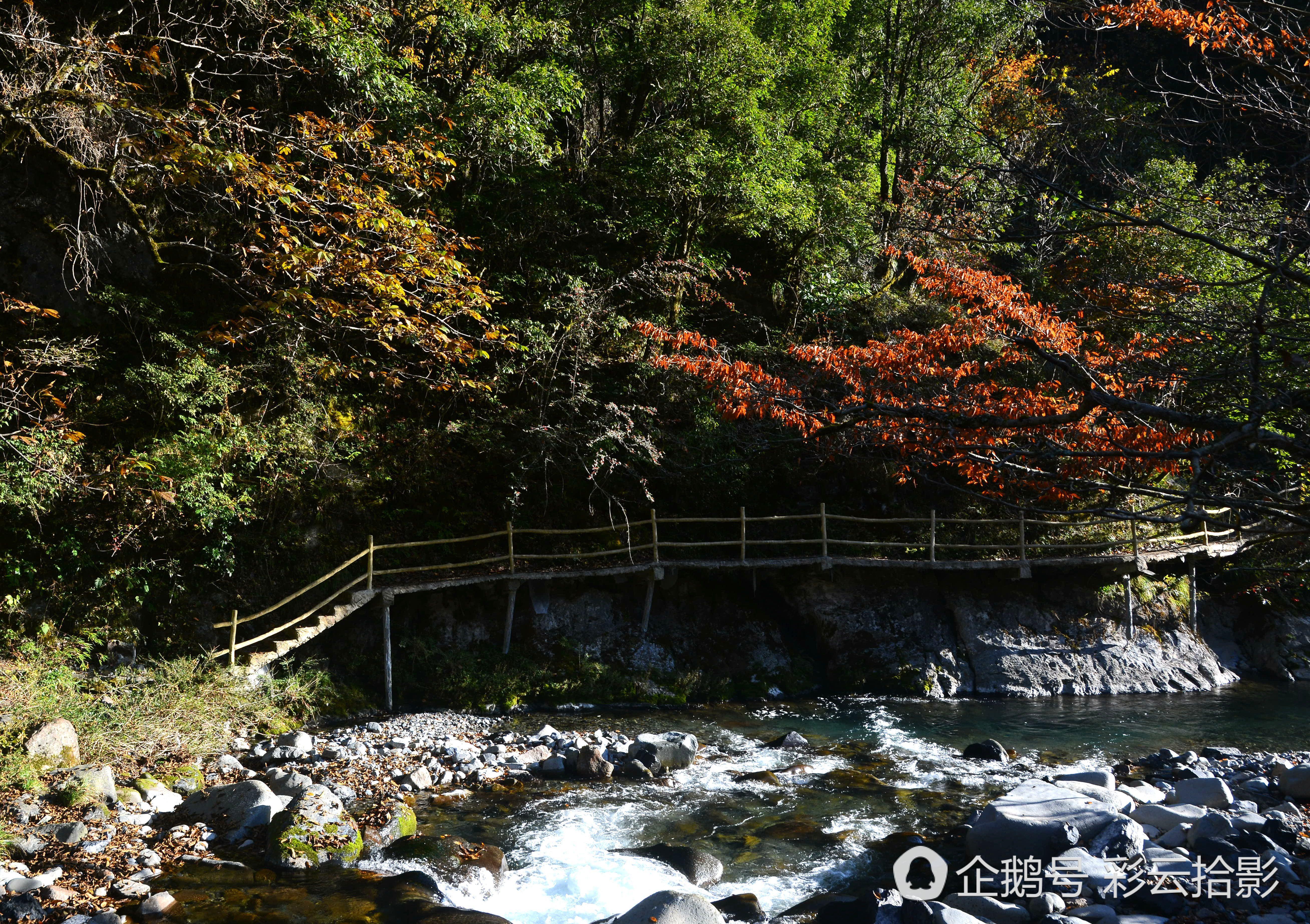 深秋季节镇坪飞渡峡红叶更迷人