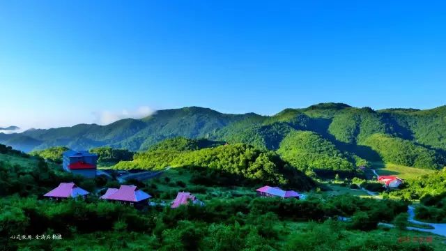 不要让夏天的烈日阻挡你,抓紧来城口黄安坝找寻原花甸