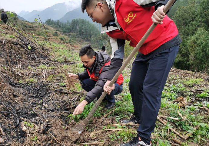 植树节|今天,你种树了吗?