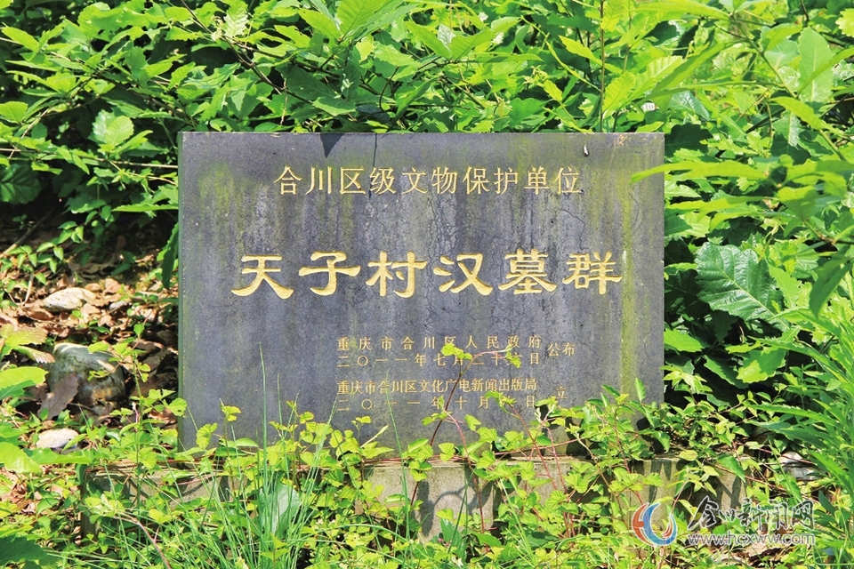 合川区古楼镇天子村在四川省武胜县境内有一