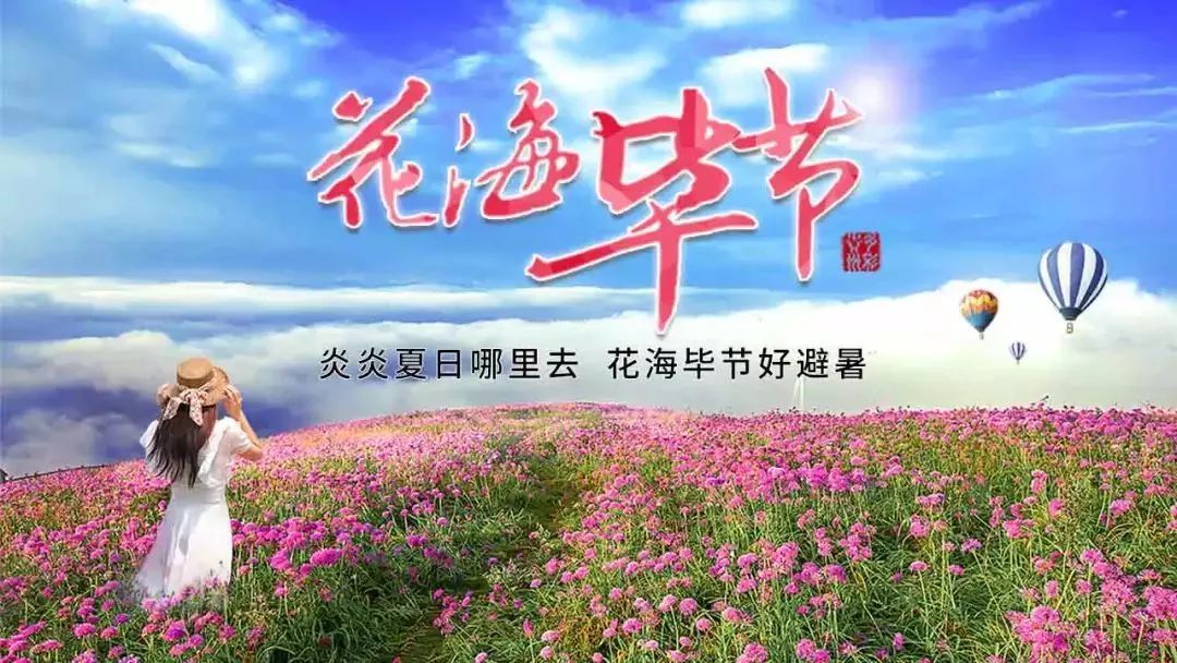 关注| 花海毕节赴渝推介,邀请重庆市民去避暑