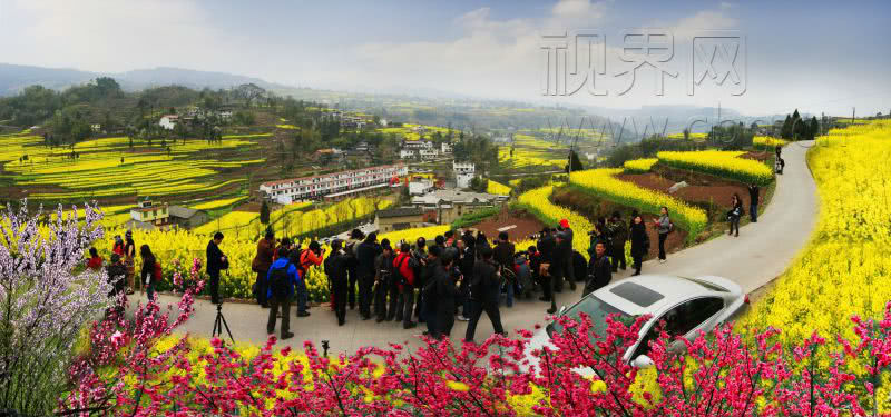 3月16日,武隆区2018年庙垭油菜花旅游节正式开幕,邀你前去欣赏梯田式