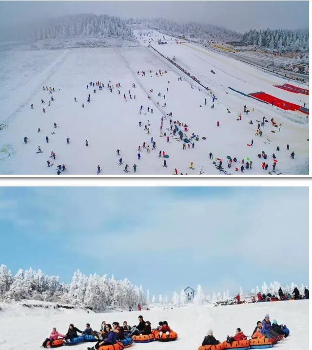 Bet365 - Online Sports Betting一种碳纤维滑雪板及其滑雪组件pdf