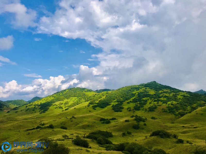 巫溪红池坝景区 消夏避暑的好去处