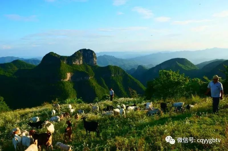 康养新农坝,爽爽云峰山,避暑纳凉,养生养心好去处