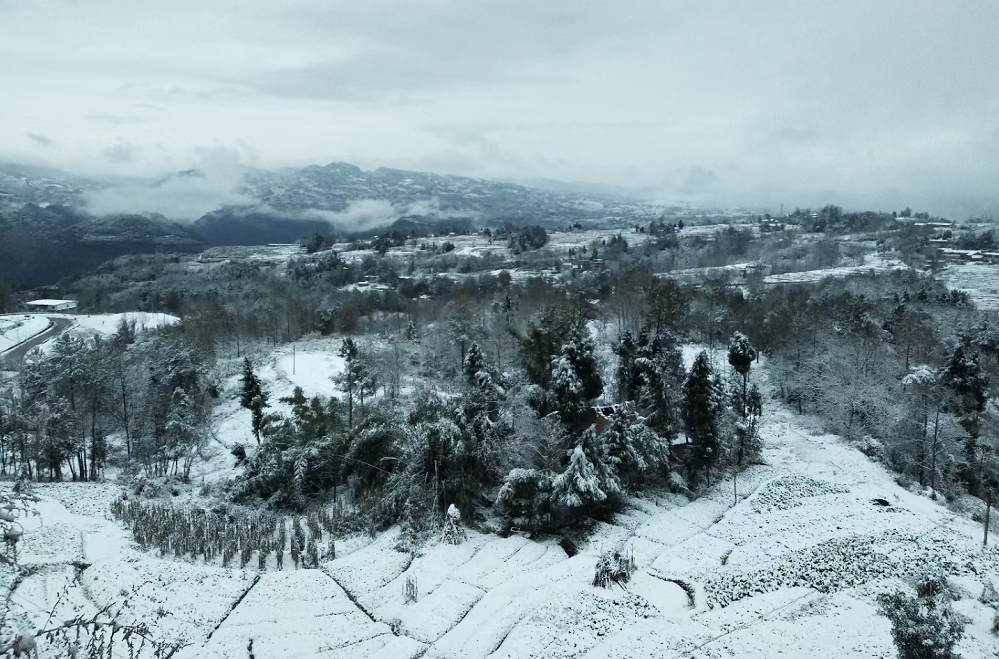 冷,云阳又下雪啦!好看!