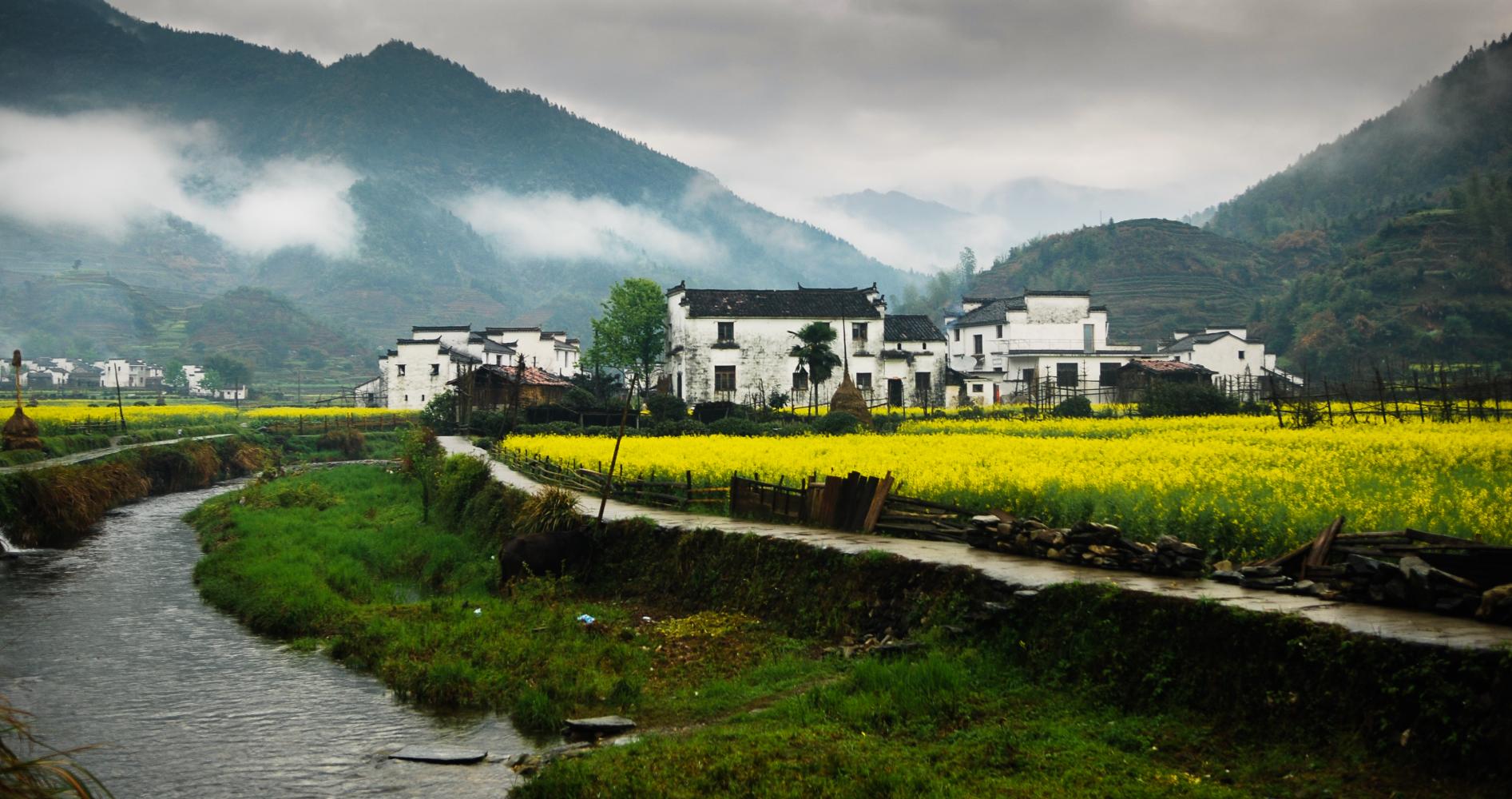 也是徽文化的发祥地之一,素有"书乡""茶乡"之称,被誉为"中国最美乡村"