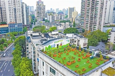 老旧屋顶变"花园 美化城市空中风景线