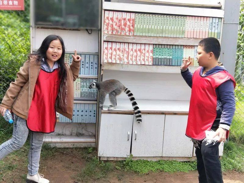 石宝小学四月研学v小学,最美的学生在路上!备课小学生被风景图片
