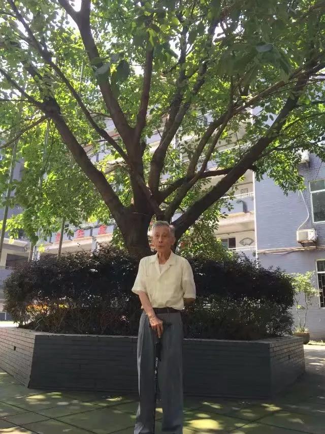 感动|朱道良:用38年的行动,诠释着责任和奉献