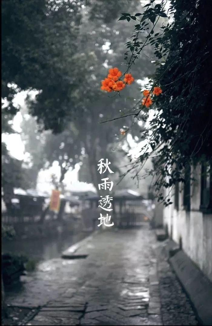 槲叶落山路,枳花