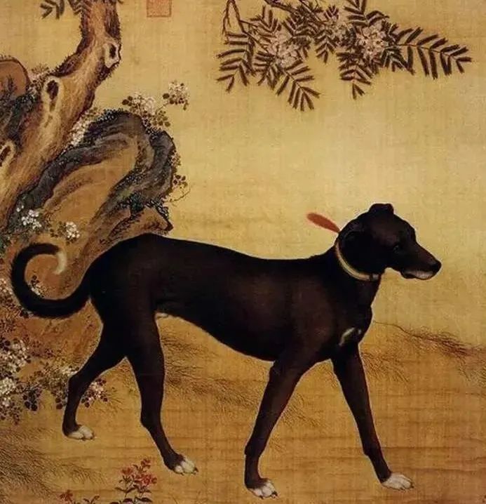 文史给狗化妆为狗画像国宝十骏犬图背后天子竟是极品狗奴