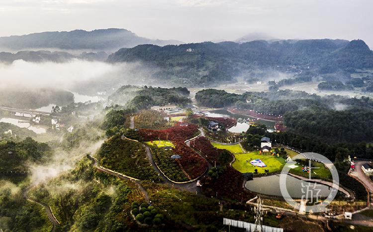 《雾漫多彩植物园》组照一 冯亚宏 摄于巴南区南彭水竹村南湖多彩植物