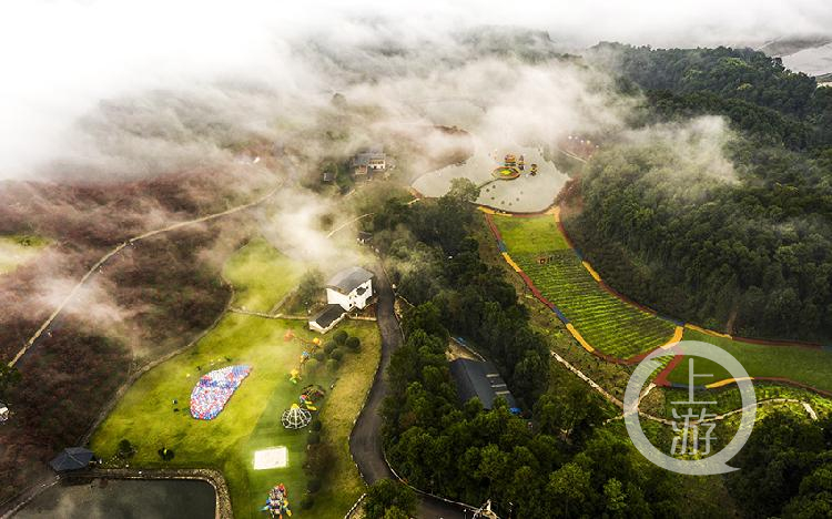 《雾漫多彩植物园》组照六 冯亚宏 摄于巴南区南彭水竹村南湖多彩植物