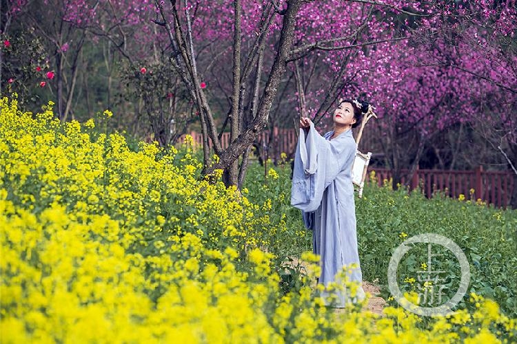 《赏花季 孙毅 摄于巴南区天坪山云林天乡景区