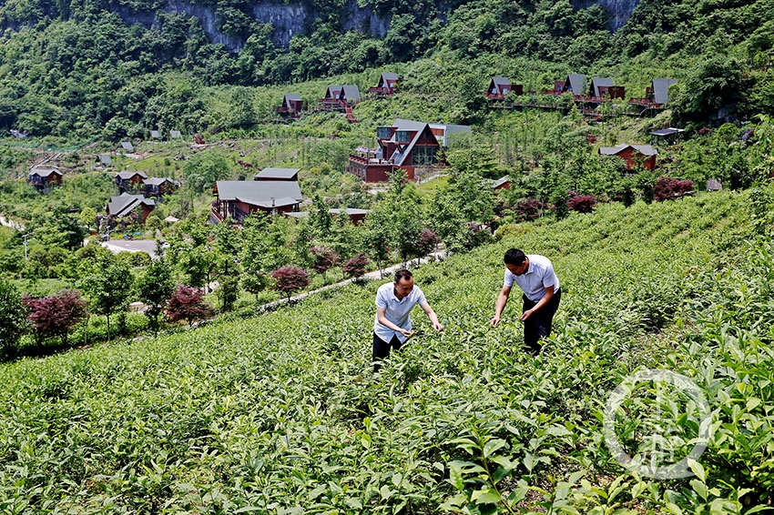 让当地村民吃上了旅游饭,实现增收致富,助推了乡村振兴