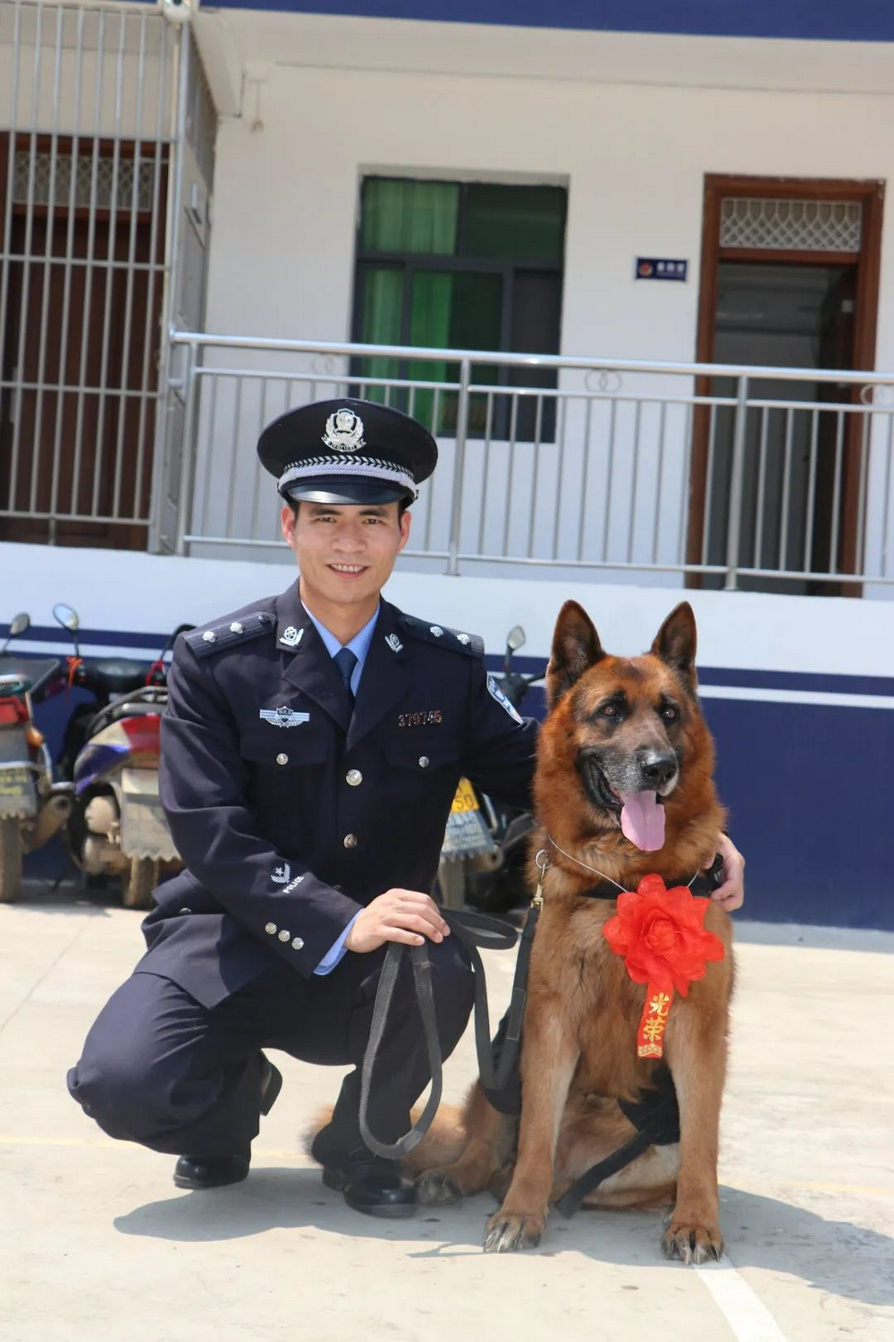 警犬在它的退役现场做了一个动作让人瞬间泪目