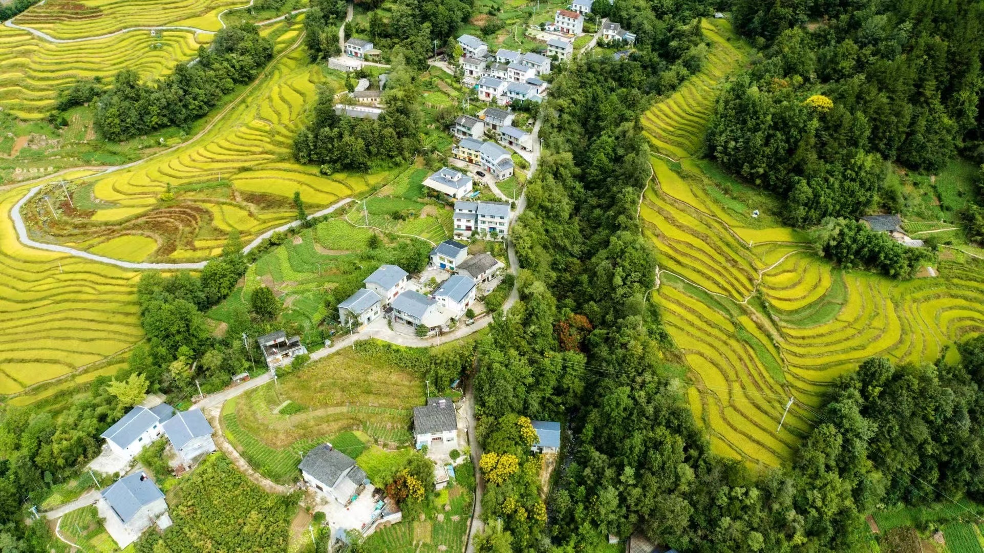 农村田园风光 真实图片