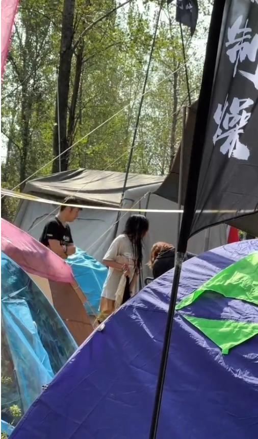 河南南阳迷笛音乐节物品失窃引发“地域攻击”，乐迷：希望别以偏概全