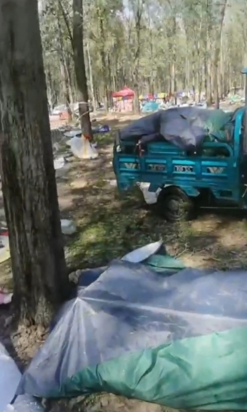 河南南阳迷笛音乐节物品失窃引发“地域攻击”，乐迷：希望别以偏概全