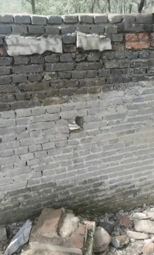 河南南阳迷笛音乐节物品失窃引发“地域攻击”，乐迷：希望别以偏概全