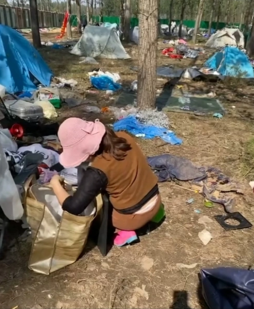 河南南阳迷笛音乐节物品失窃引发“地域攻击”，乐迷：希望别以偏概全