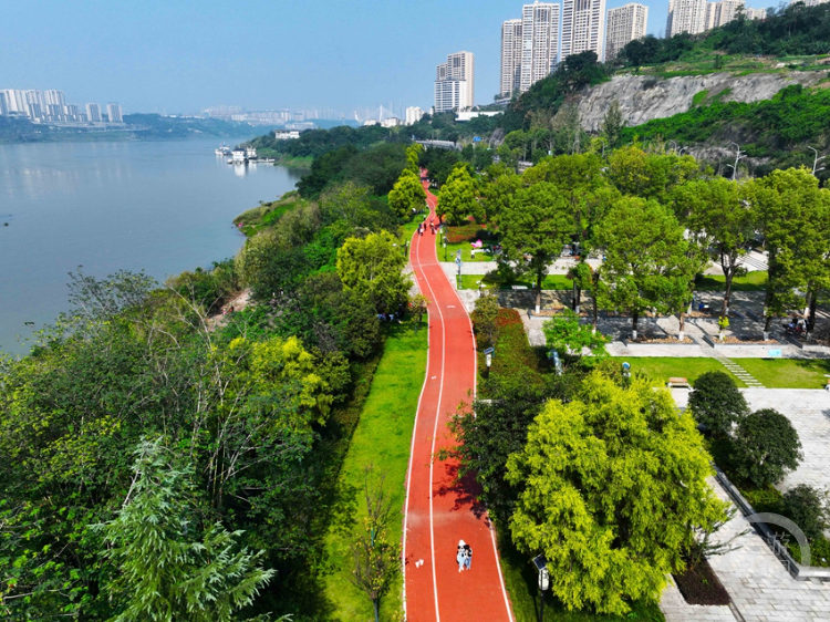 重庆巴南：湿地公园美如画-上游新闻 汇聚向上的力量