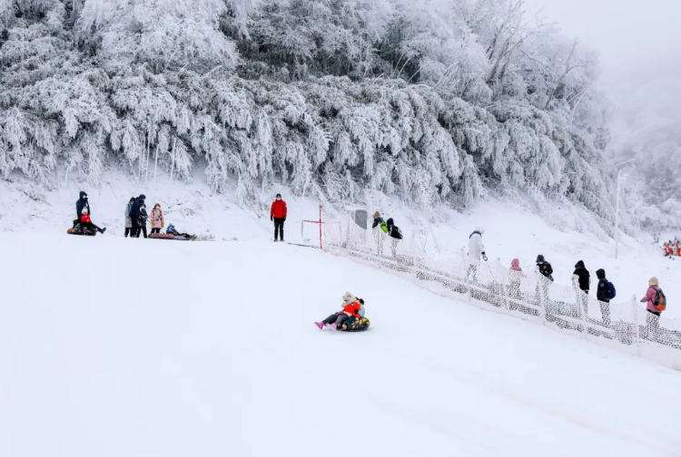 广东佛山人造滑雪场图片