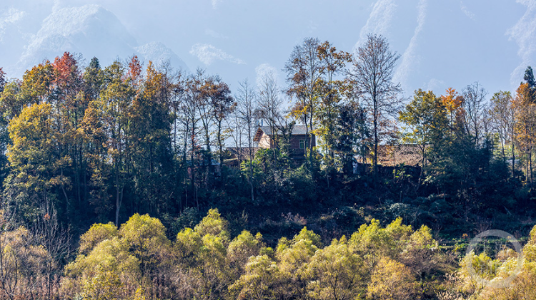 11月28日,南川區德隆鎮馬鞍村