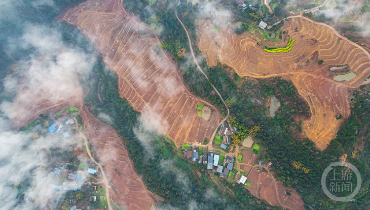 冬季是農閒時節,重慶雲陽縣各地正利用冬閒期大力推進丘陵山區的高