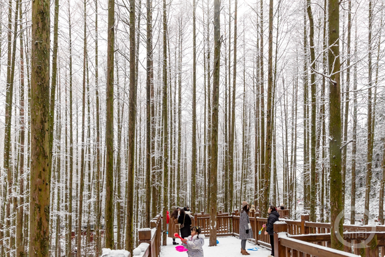 重庆南川:山王坪初雪宛若童话世界