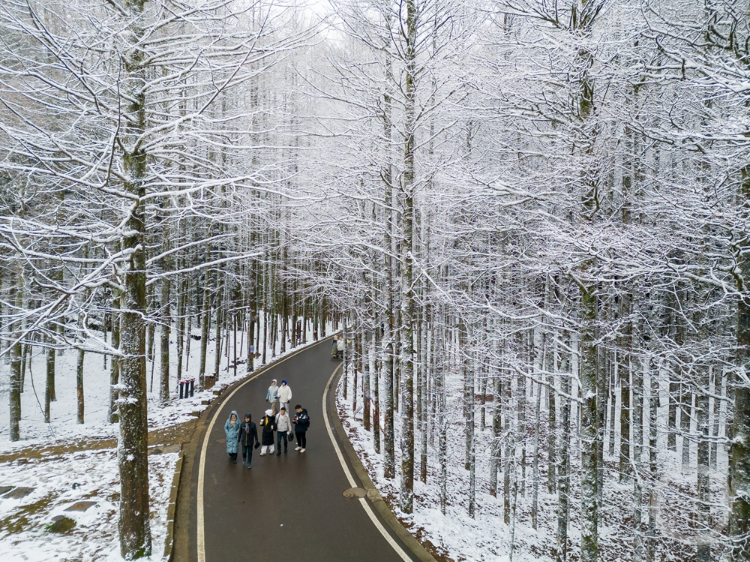 南川雪景上新游客踏雪赏景