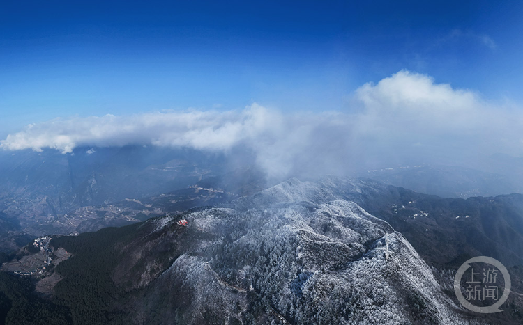 《冰花美如畫》組照二 譚昌藩 攝於巫山兩坪鄉朝元觀近日,凜冽的寒流