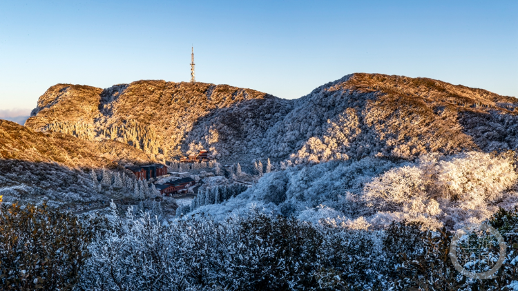 雪景和云海交相呼应天地共一色雪后金佛山,一种无与伦比的美