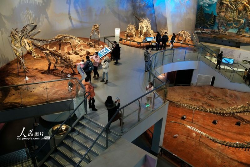 春节假期,不少市民游客选择来到位于重庆市北碚区的重庆自然博物馆