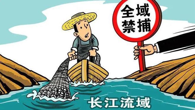 禁止垂钓 漫画图片