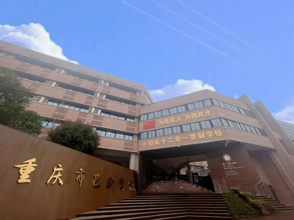 大渡口巴渝学校转公图片