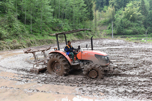 身边事石柱推行1n社会化服务引领集体经济蝶变