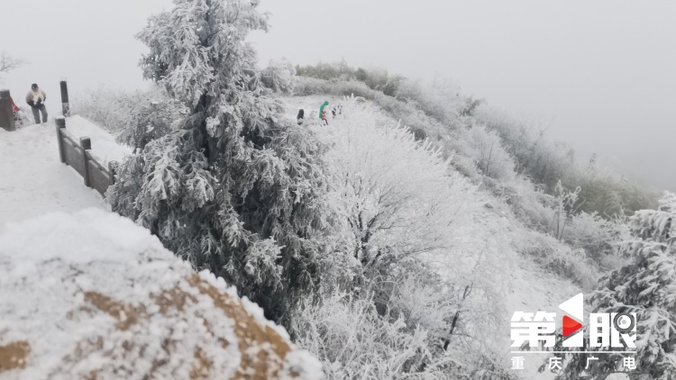 重慶中心城區加入下雪群聊渝北華鎣山迎來今冬首場降雪