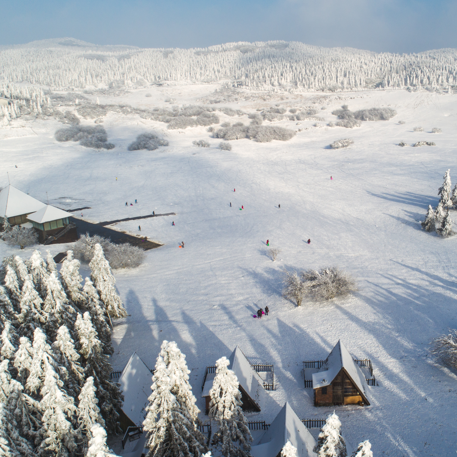 帶上這份「山城耍雪特輯」遙看雪滿枝頭聆聽雪花飄落解鎖滑雪技能向舊