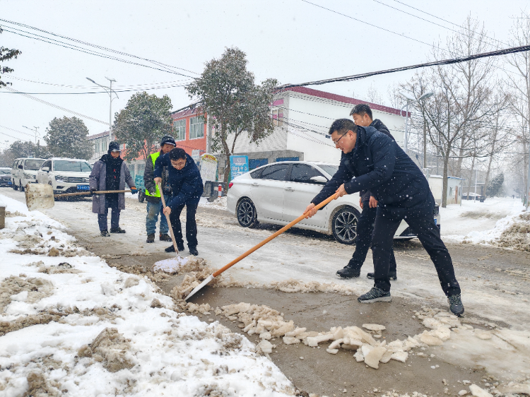 安徽利辛以雪為令聞令而動