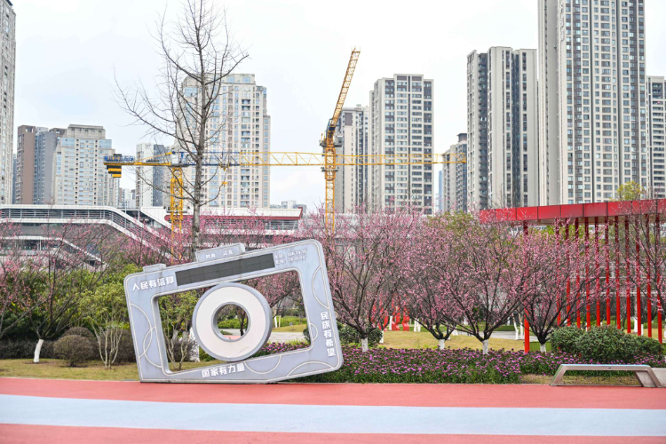 重庆江北区滨江广场风景好红梅花开迎春来