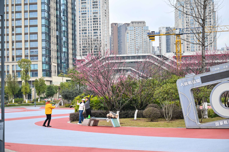 重庆江北区滨江广场风景好红梅花开迎春来