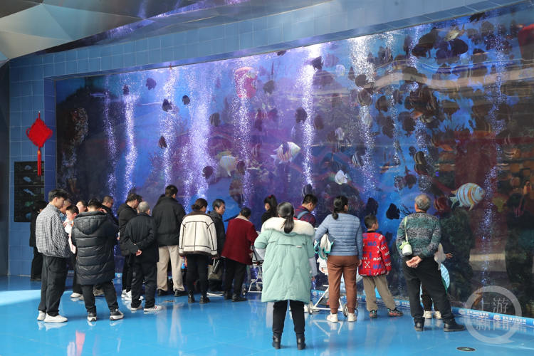 渝乐小镇,海世界,水世界,热雪奇迹,融创茂,渝秀马戏,酒店群7大业态