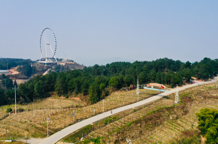 重庆涪陵区葡萄春管忙助力好收成