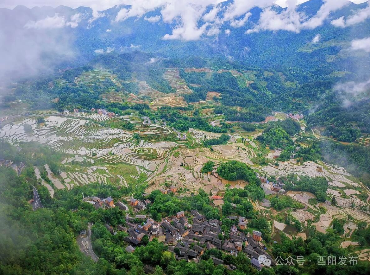 重庆酉阳县:探索激活乡村新质生产力,释放发展大动能-上游新闻 汇聚向