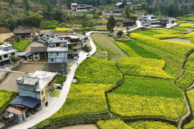 重庆黔江区:一到春天就美成画的古村落-上游新闻 汇聚向上的力量