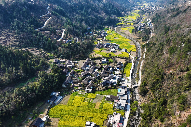 重庆黔江区:一到春天就美成画的古村落-上游新闻 汇聚向上的力量