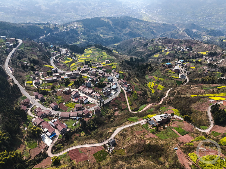 《金色田野》组照一 谭昌藩 摄于巫山福田镇跑马村《金色田野》组照二